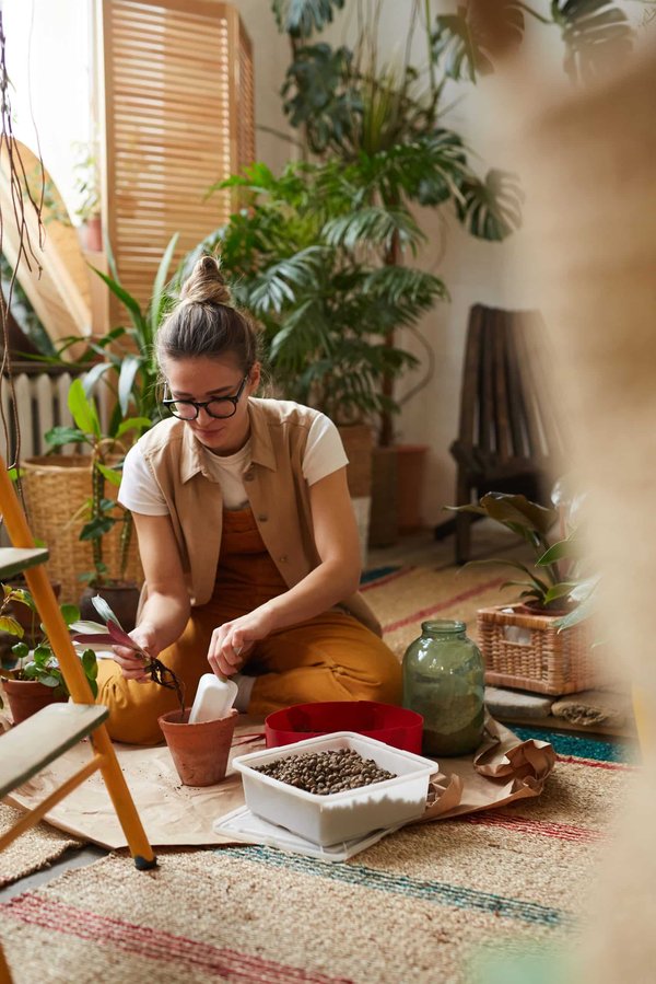 Comment choisir des plantes pour un jardin d'hiver intérieur ?