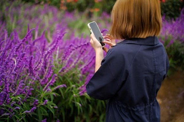 Comment installer une fontaine d'eau dans un jardin sans accès direct à l'eau ?