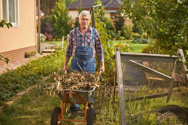 Créez un jardin sec : beauté et durabilité à porter de main